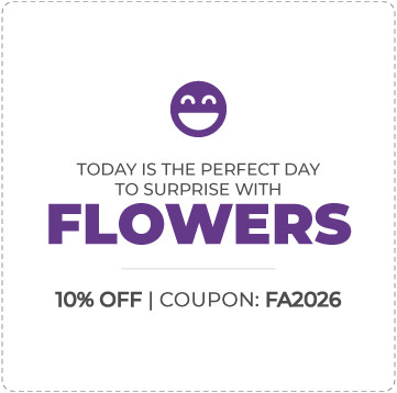 Offer in Brazil