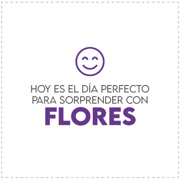 Oferta en Brasil