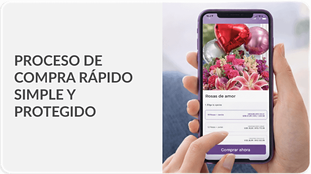 Envío en menos de 2 horas a Brasil - Flores En Brasil